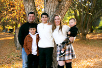 The Saldivars